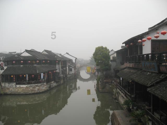 救援贪玩的大象